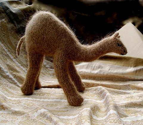 camel.pdf-1main1.jpg