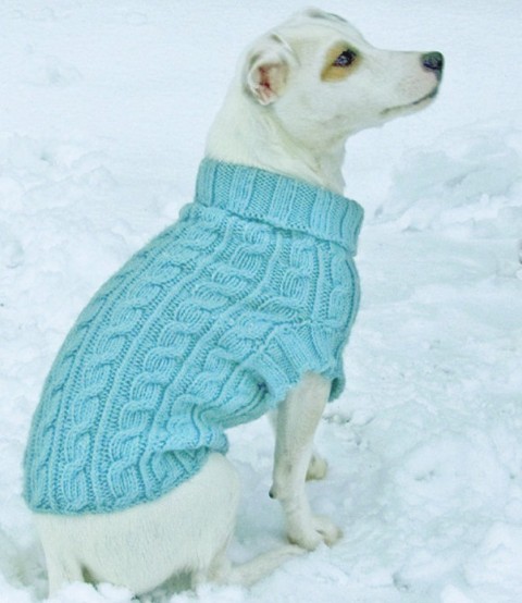 Louet-DogSweater.pdf-1main.jpg