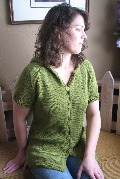 102_short_sleeved_hoodie.jpg