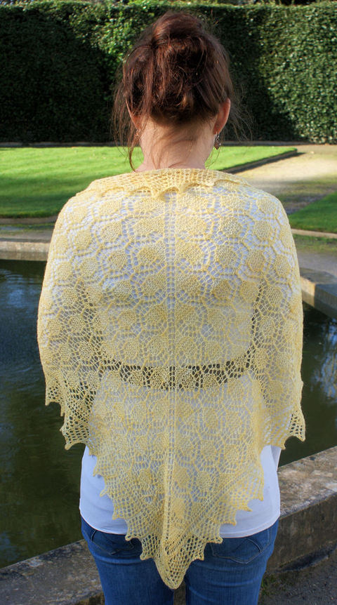 Sophia_yellow_2.jpg