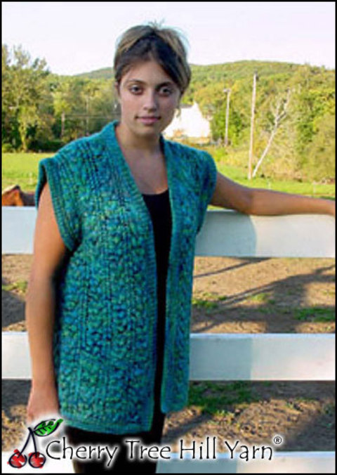 cth-12-potluck-sweater-vest.jpg