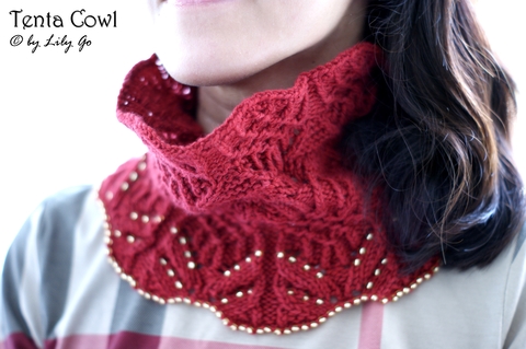 DSC05324_20Tenta_20Cowl.jpg
