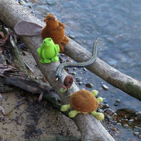 Web_Wetlands.jpg